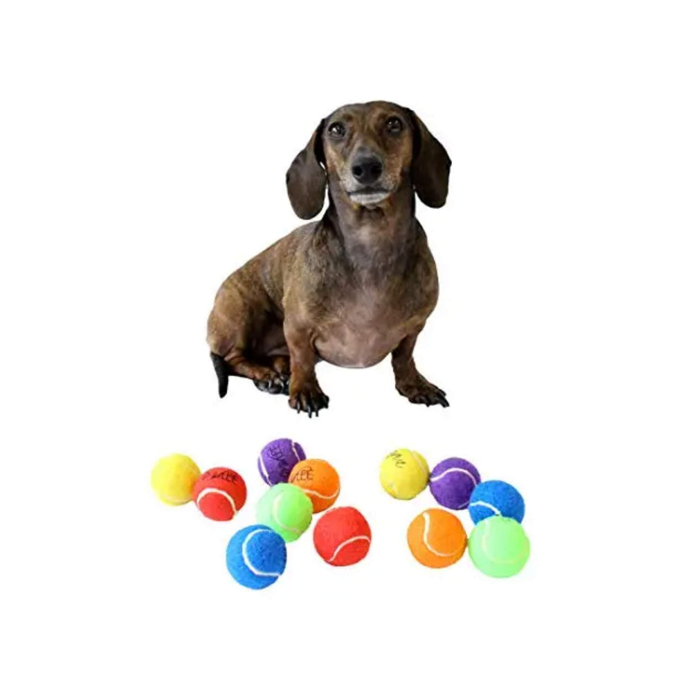Midlee Mini small dog play set keeps puppies engaged during outdoor sessions