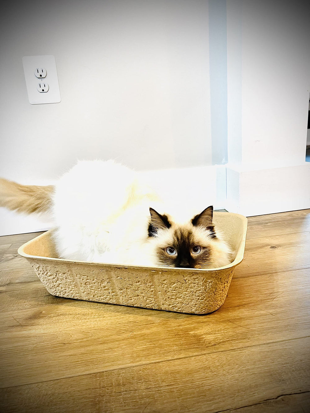Midlee travel cat litter box hygienic-use showing quick setup on trips.