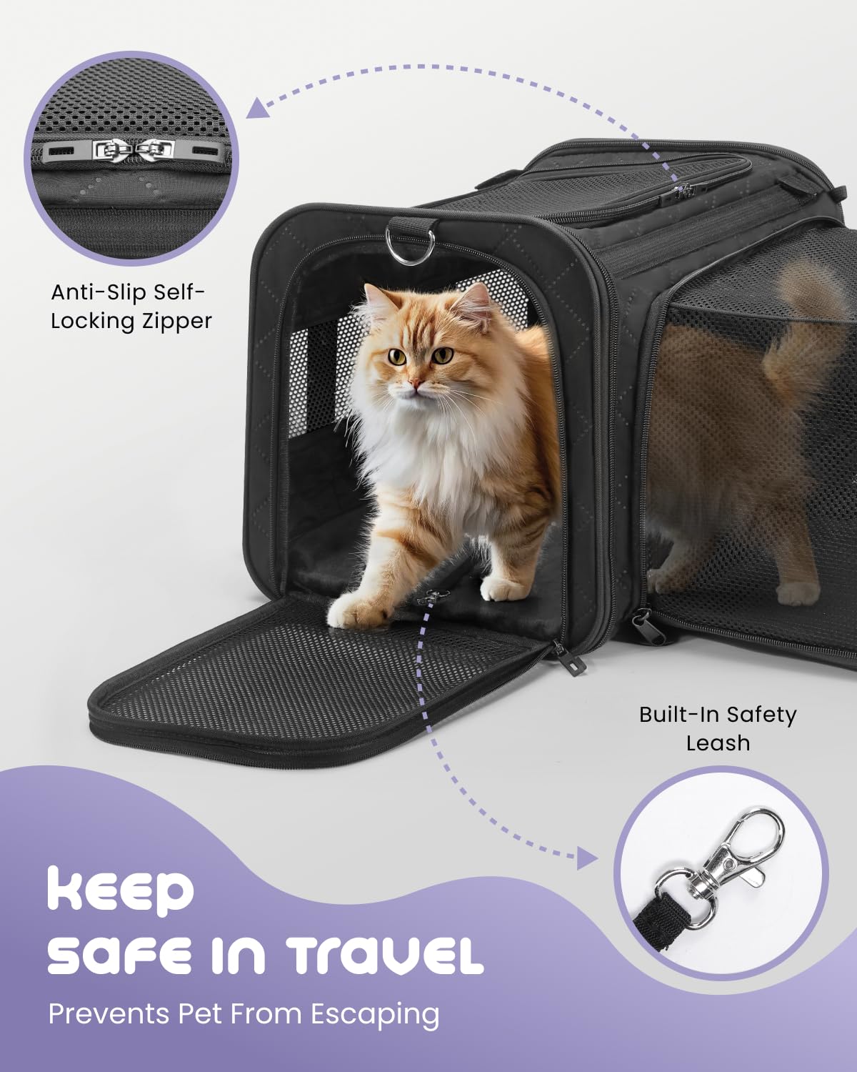 MIDOG carrier includes anti-slip zipper and internal safety leash.