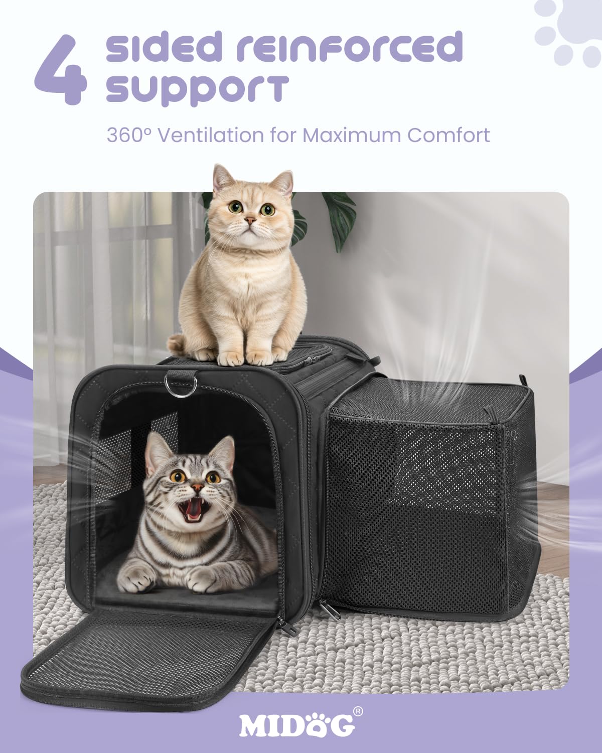 MIDOG carrier provides car-seat belt attachment for secure trips.