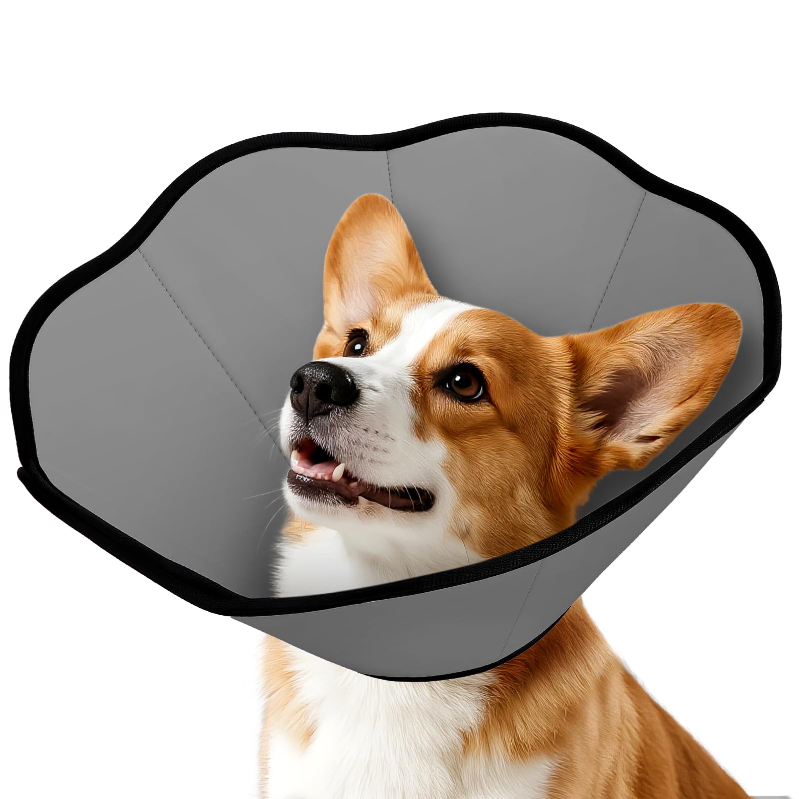 MIDOG soft cone collar recovery with closed neck blocks licking while keeping dogs comfortable.