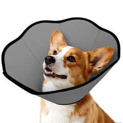MIDOG soft cone collar recovery with closed neck blocks licking while keeping dogs comfortable.