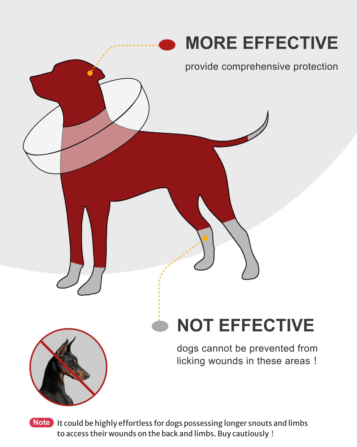 MIDOG clear-vision design keeps dogs able to see while recovering.