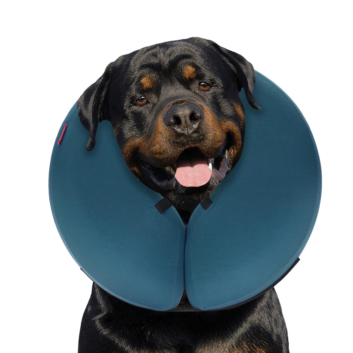 MIDOG inflatable donut dog cone in blue prevents licking while allowing eating and drinking.