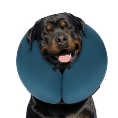 MIDOG inflatable donut dog cone in blue prevents licking while allowing eating and drinking.