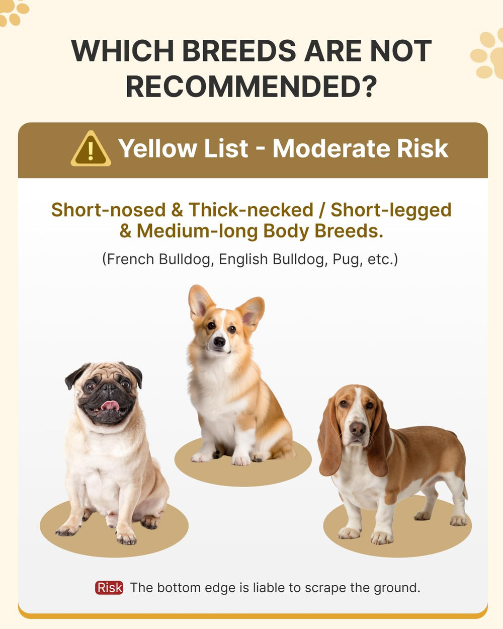MIDOG donut cone patent highlights vision-friendly e-collar after surgery