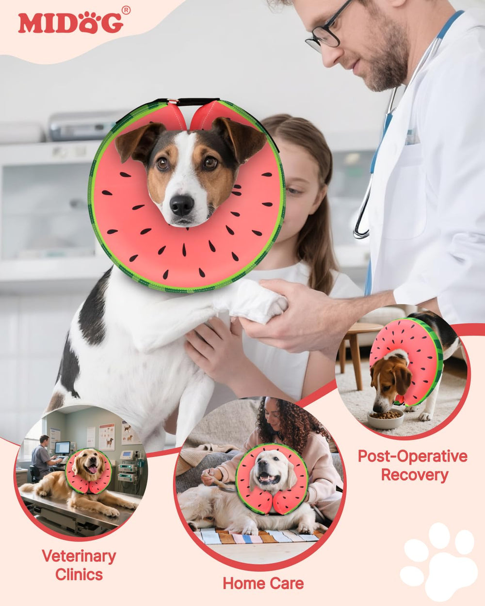 MIDOG donut e-collar in use enabling eating and drinking with clear vision