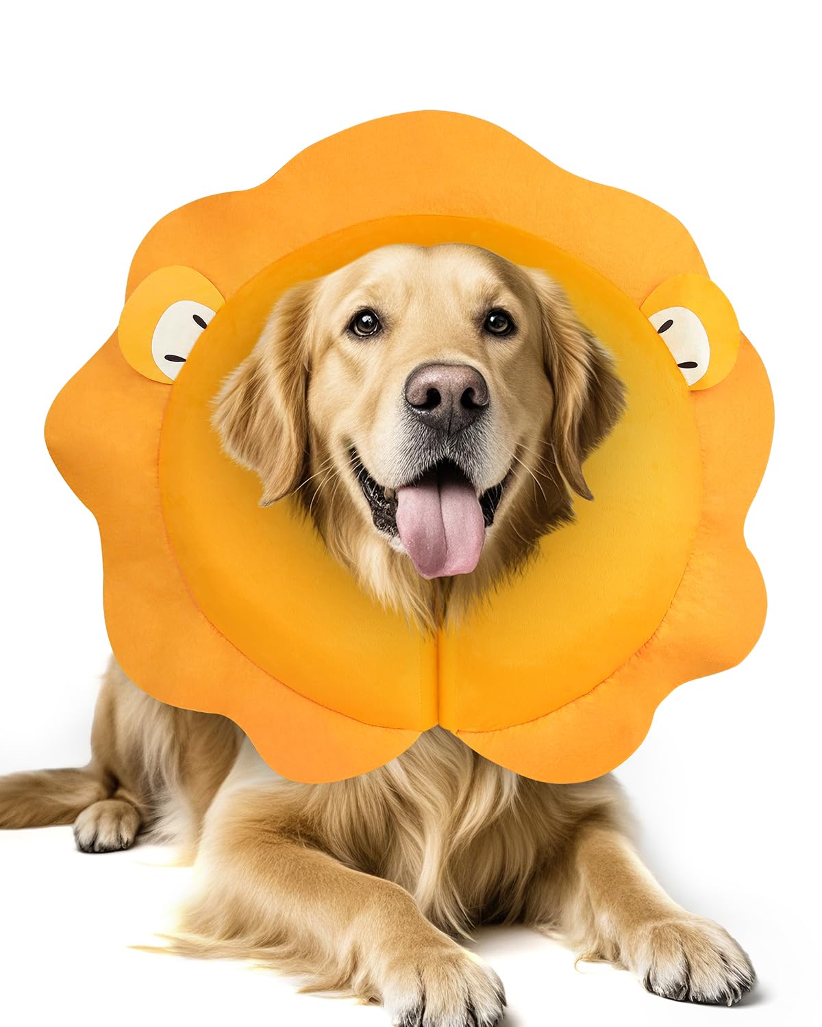 MIDOG inflatable dog cone collar XL protecting neck while allowing eating.