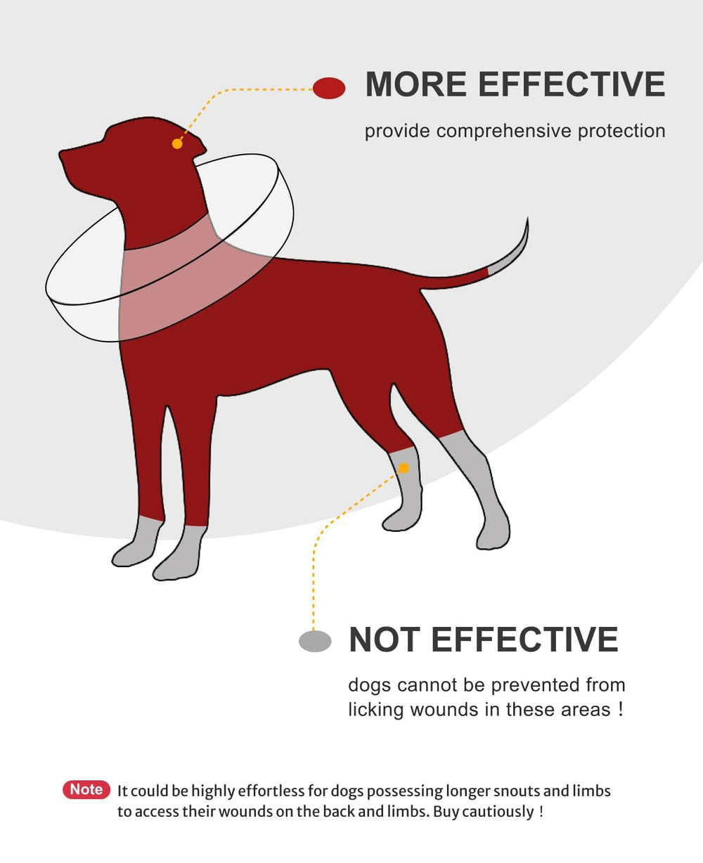 MIDOG inflatable cone deflates quickly for compact storage.