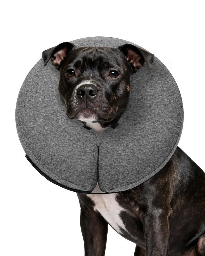 MIDOG inflatable dog cone offers comfortable recovery with full visibility.