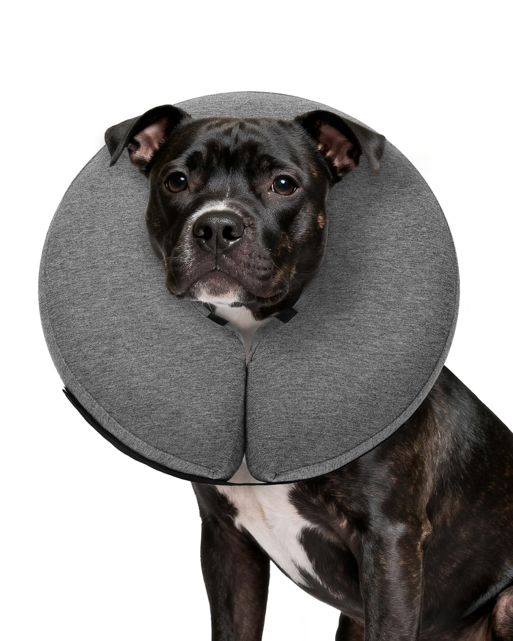 MIDOG inflatable dog cone offers comfortable recovery with full visibility.