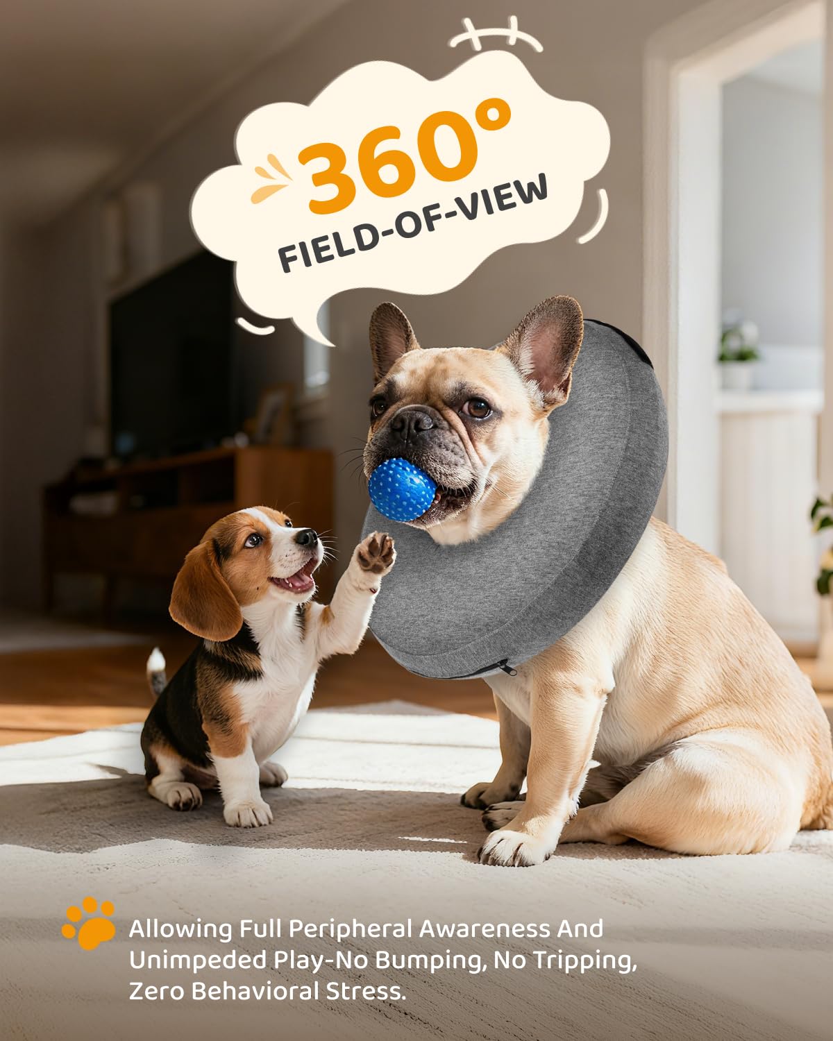 MIDOG durable scratch-resistant donut collar keeps its shape during healing.