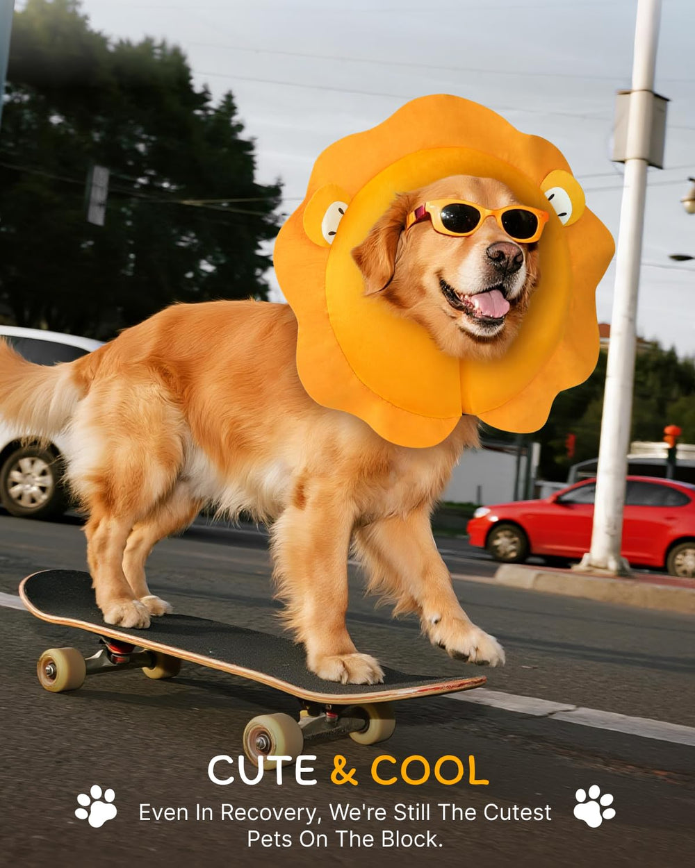 MIDOG lightweight design reduces bulk for daily activities.