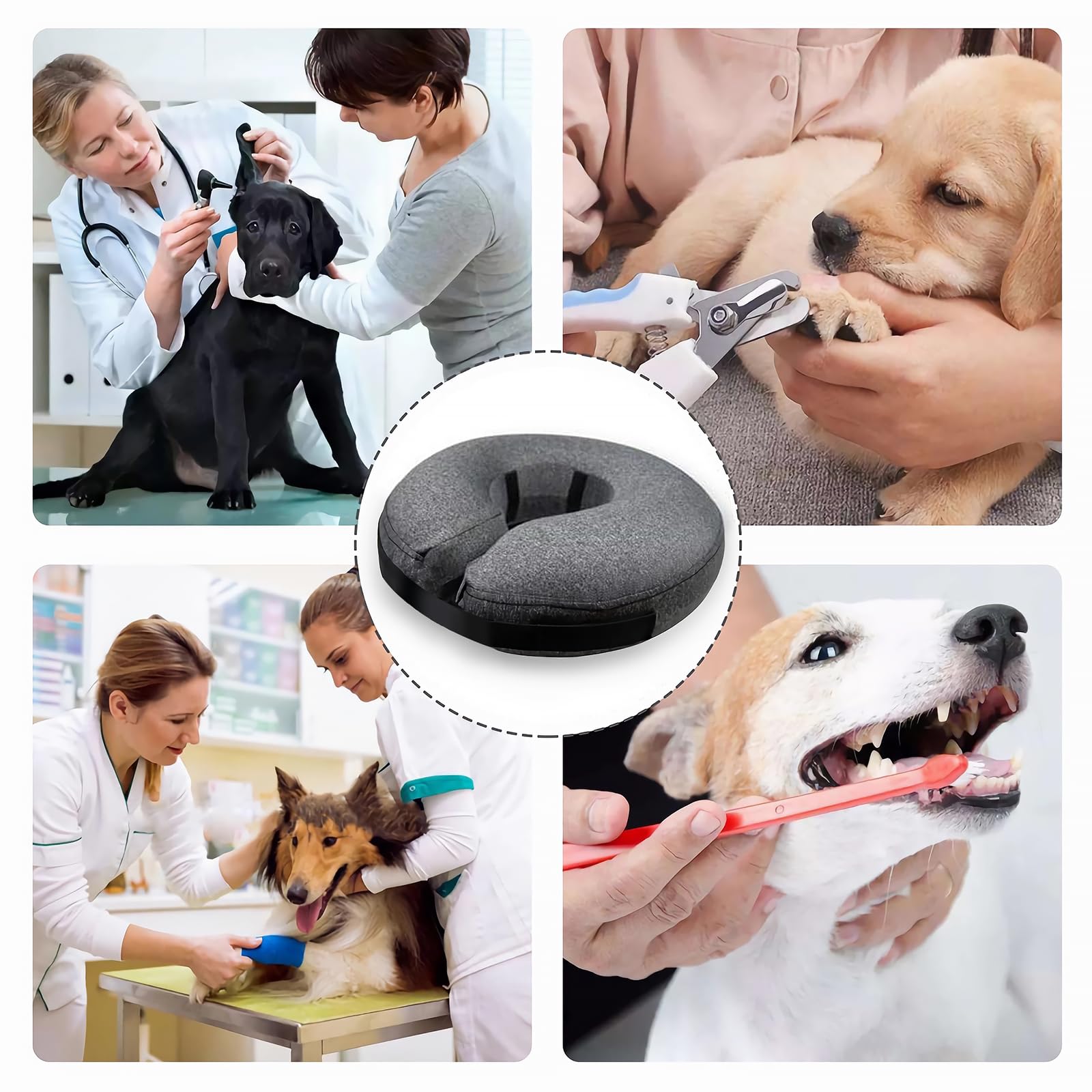 MIDOG size-guide-neck-measure helps find the right fit for dogs and cats.