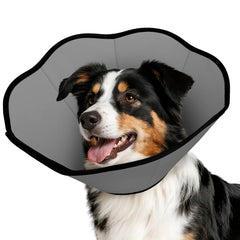 MIDOG soft cone collar in recovery mode blocking licking and protecting wounds