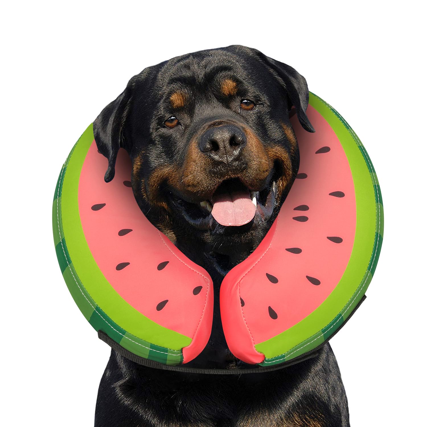 MIDOG soft inflatable donut e-collar closeup shows protective barrier for wounds during recovery
