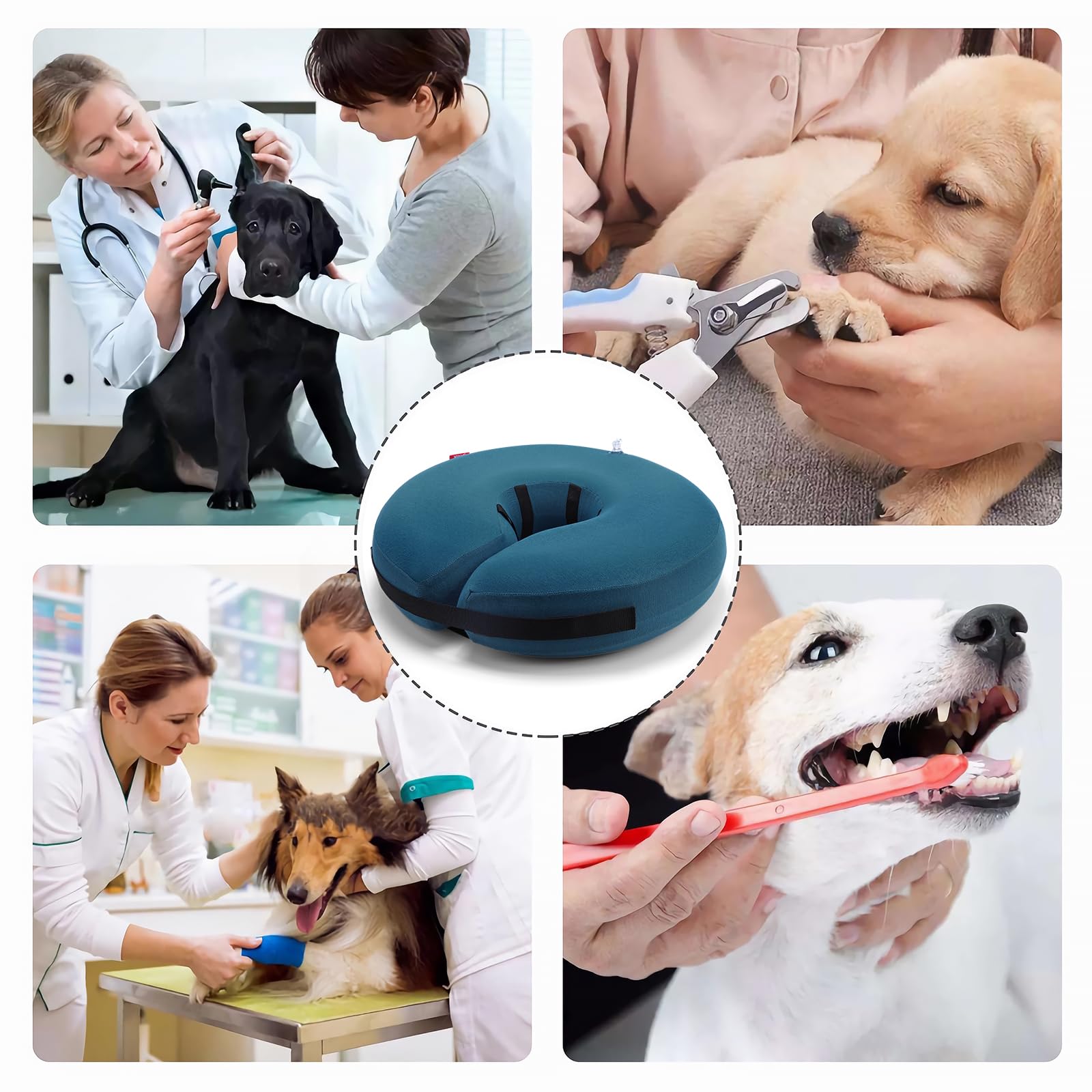 MIDOG blue donut collar supports eating, drinking, and sleeping in comfort.