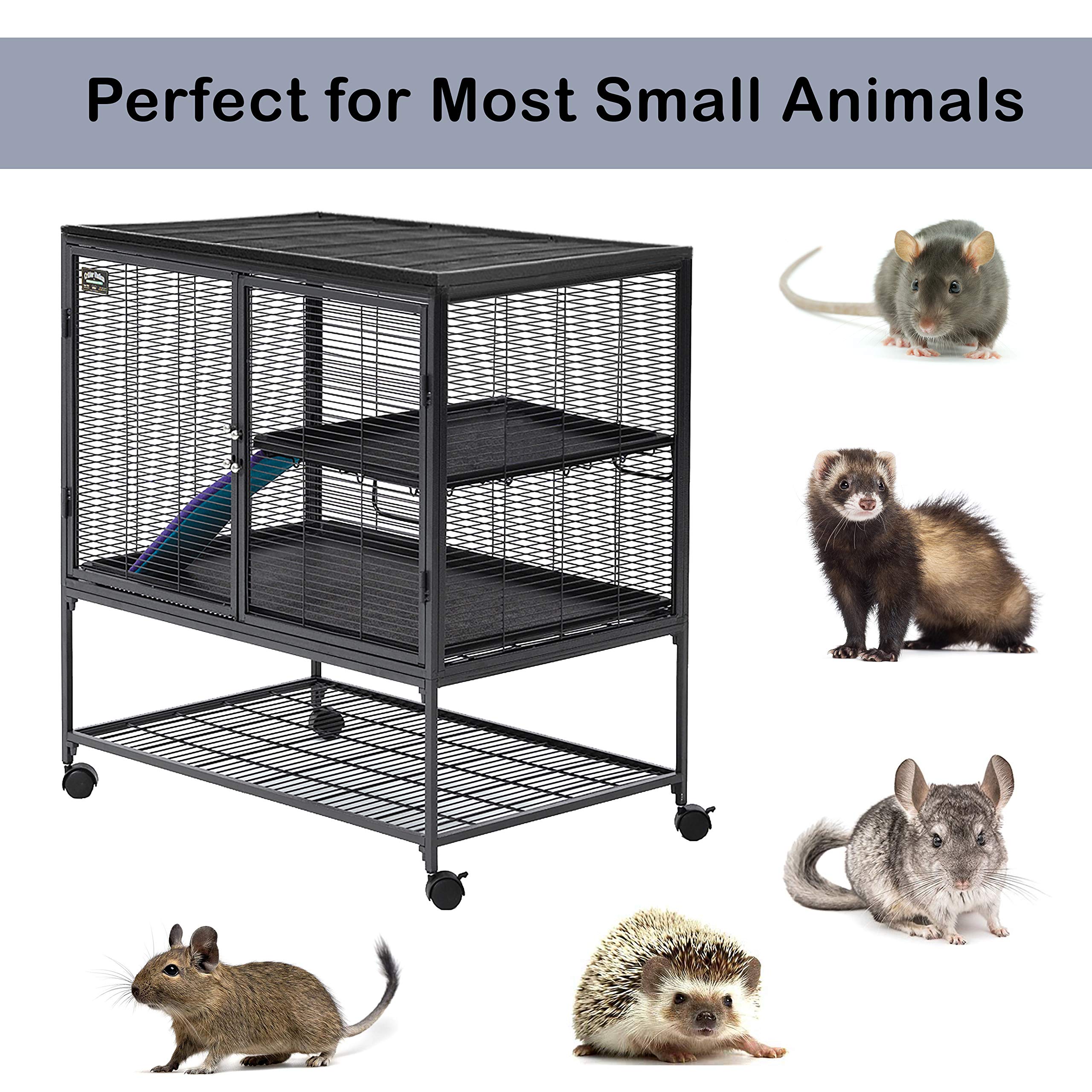 MidWest Critter Nation full-width doors with latching, easy access and supervision