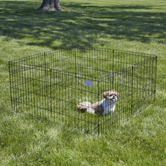 MidWest Homes for Pets 16 sq ft play area offers ample space for pets.