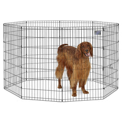 MidWest Homes for Pets 42-inch exercise pen setup with tool-free assembly for easy use