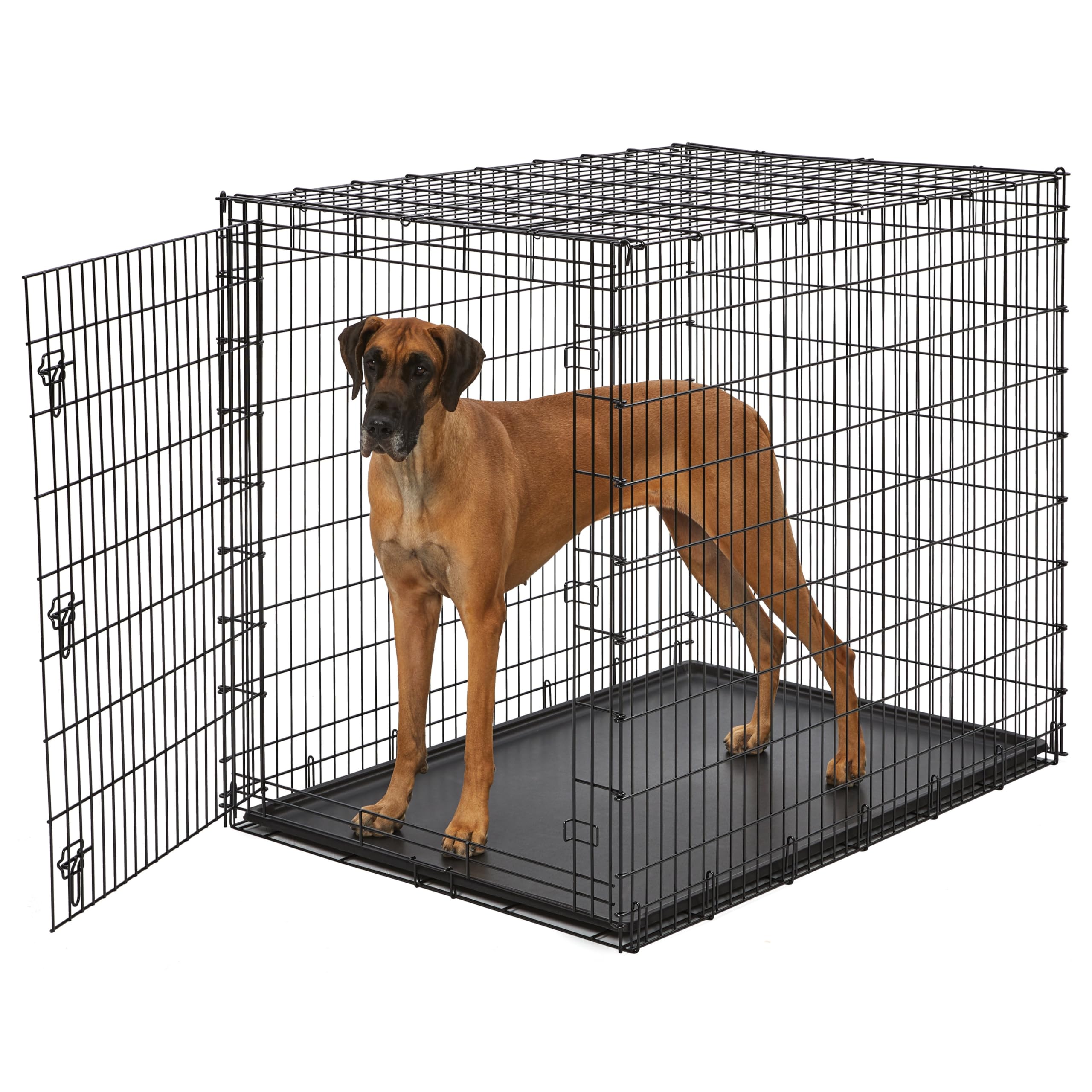 MidWest Homes for Pets 54-inch drop-pin crate provides ample space for giant breeds.