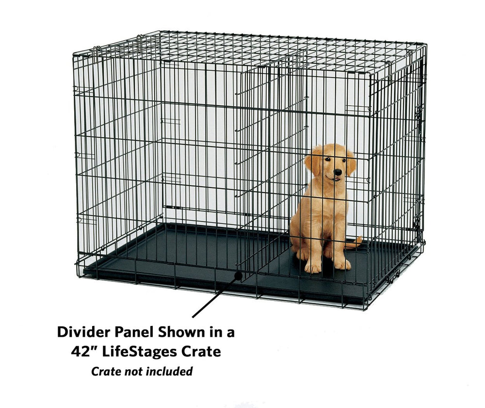 MidWest divider panel showing adjustable space for a growing dog
