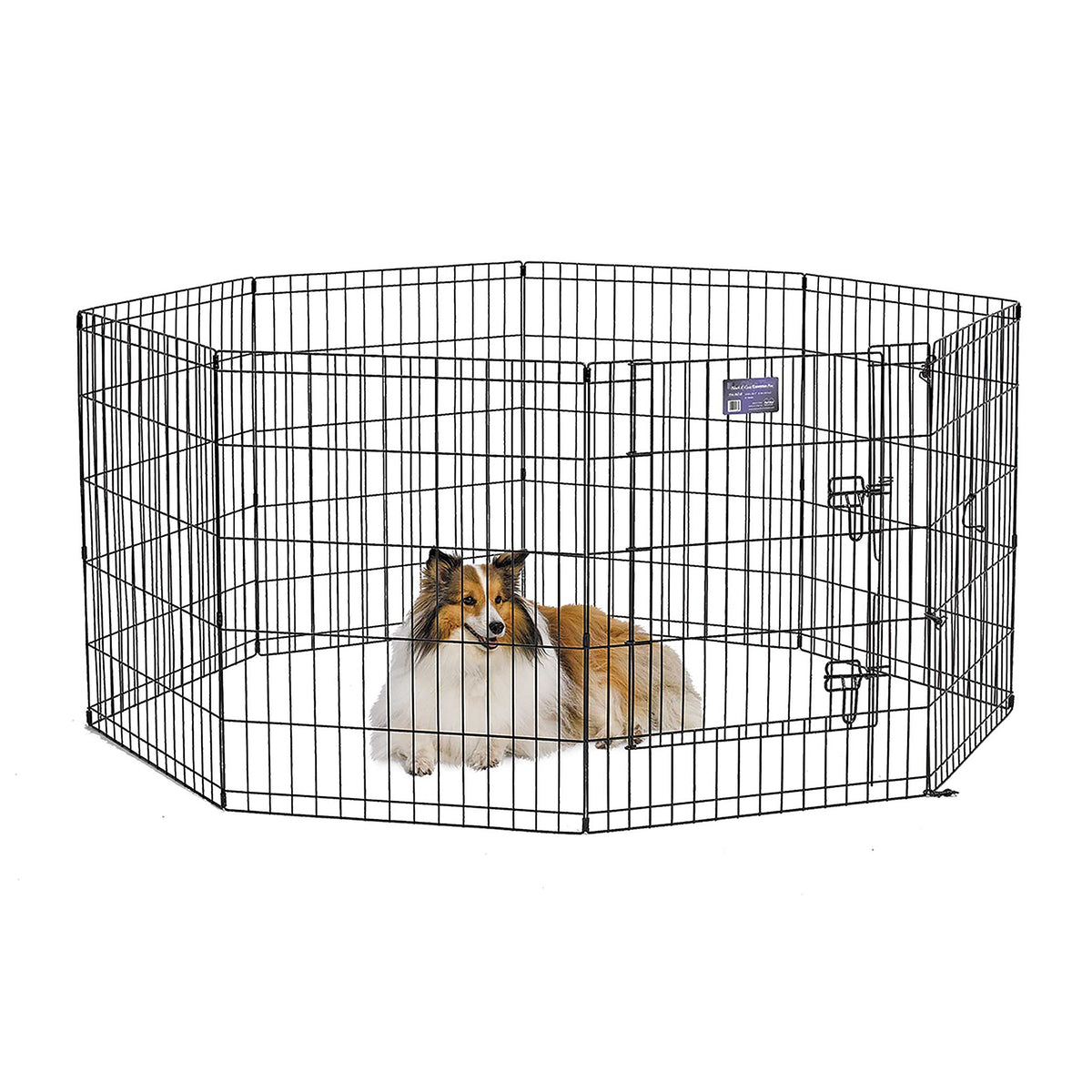 MidWest Homes for Pets exercise pen panel-assembly showing quick tool-free setup