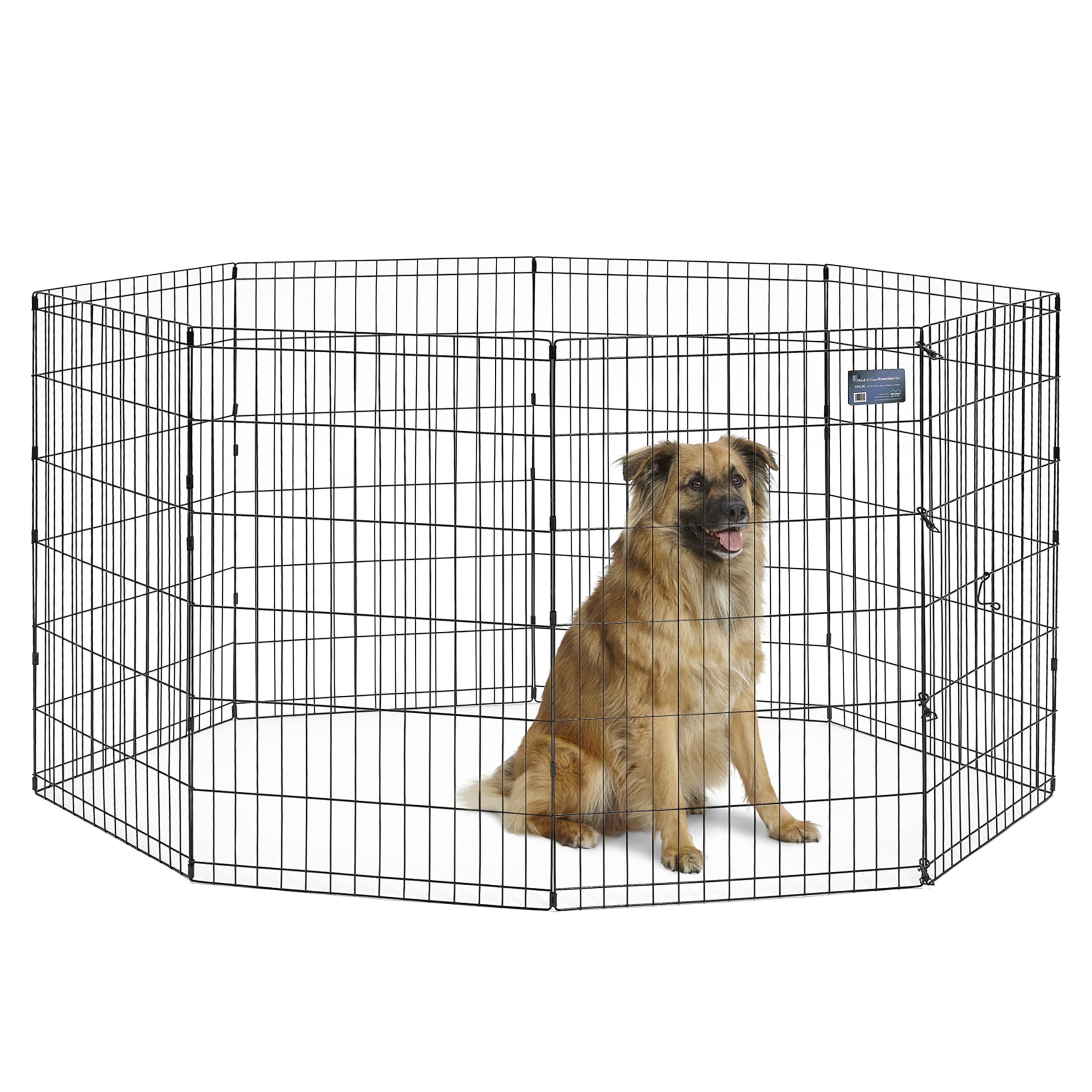 MidWest Homes for Pets exercise pen forming a secure 16 sq ft play area for dogs