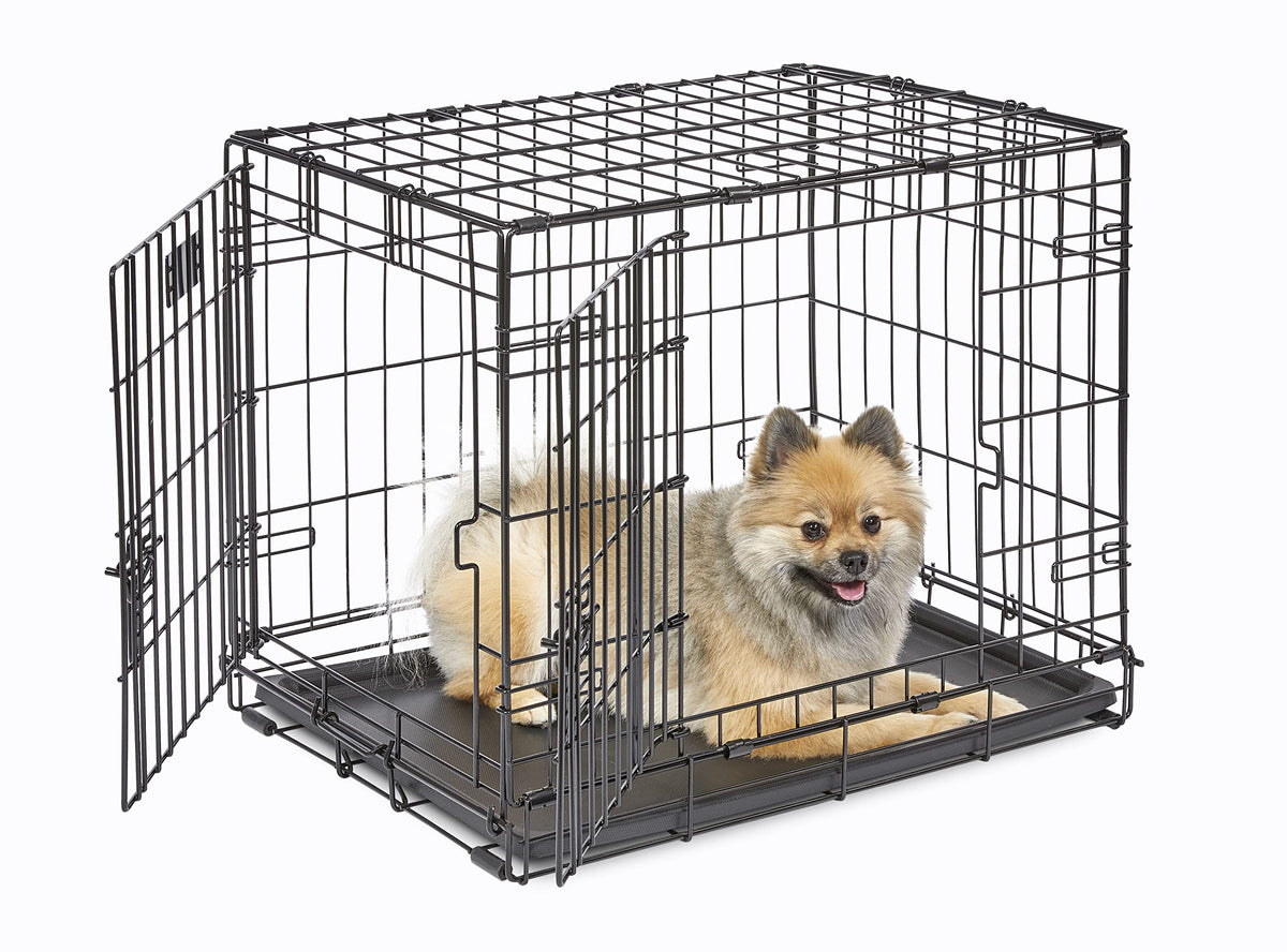 MidWest iCrate 24-inch front view, sturdy metal frame for small breeds.