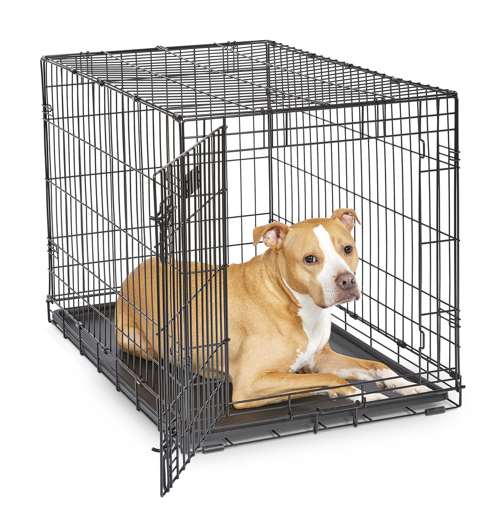 MidWest iCrate 36-inch with divider panel supports growing dogs.