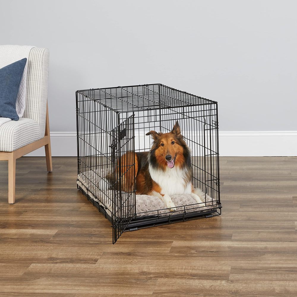 MidWest iCrate Paw Block latch detail enhances crate safety during training.