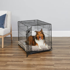 MidWest iCrate Paw Block latch detail enhances crate safety during training.