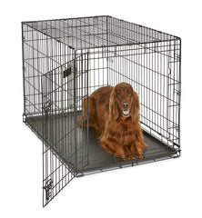 MidWest iCrate 42-Inch dog crate with door open for easy access.