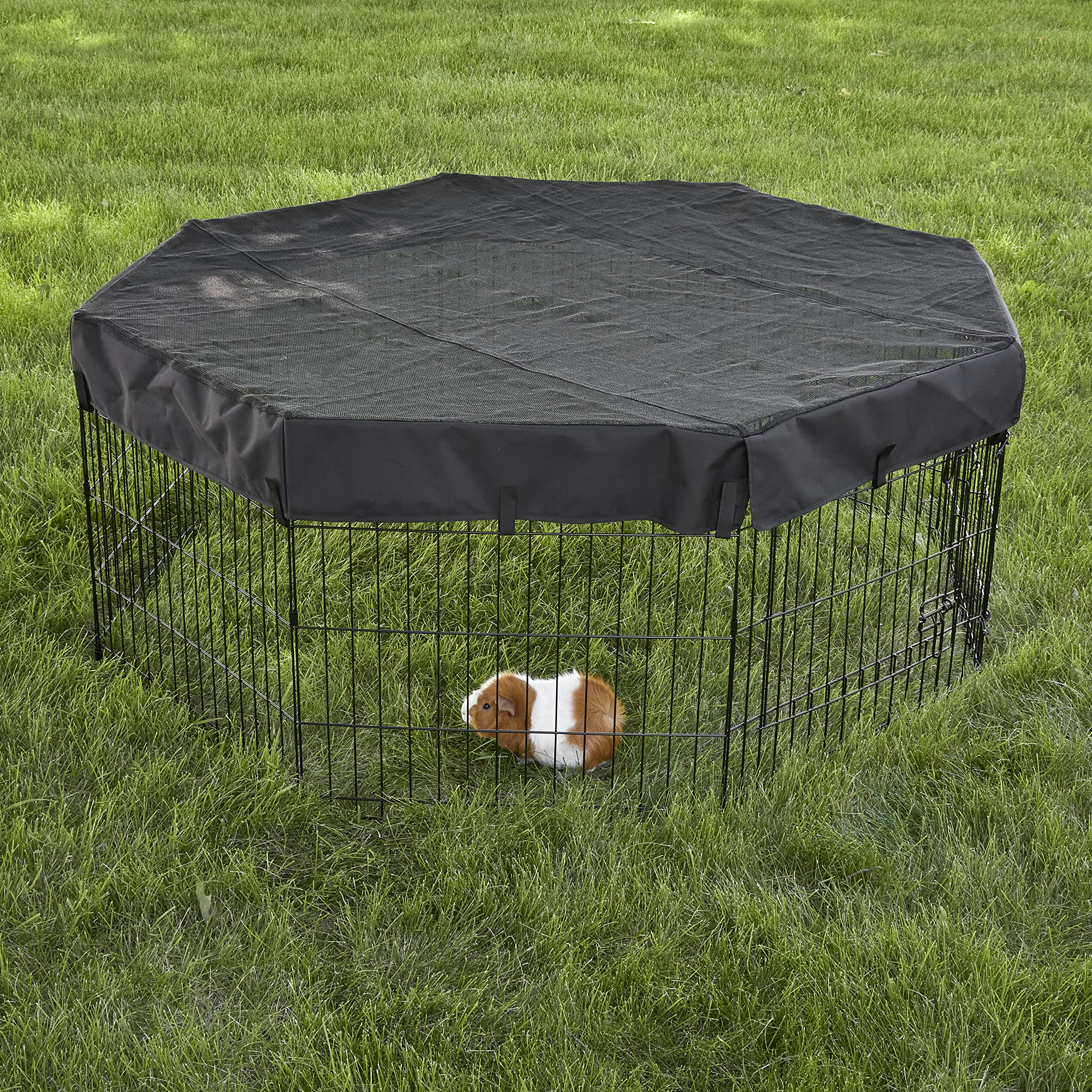 MidWest Homes for Pets octagon mesh top durability supports outdoor use.