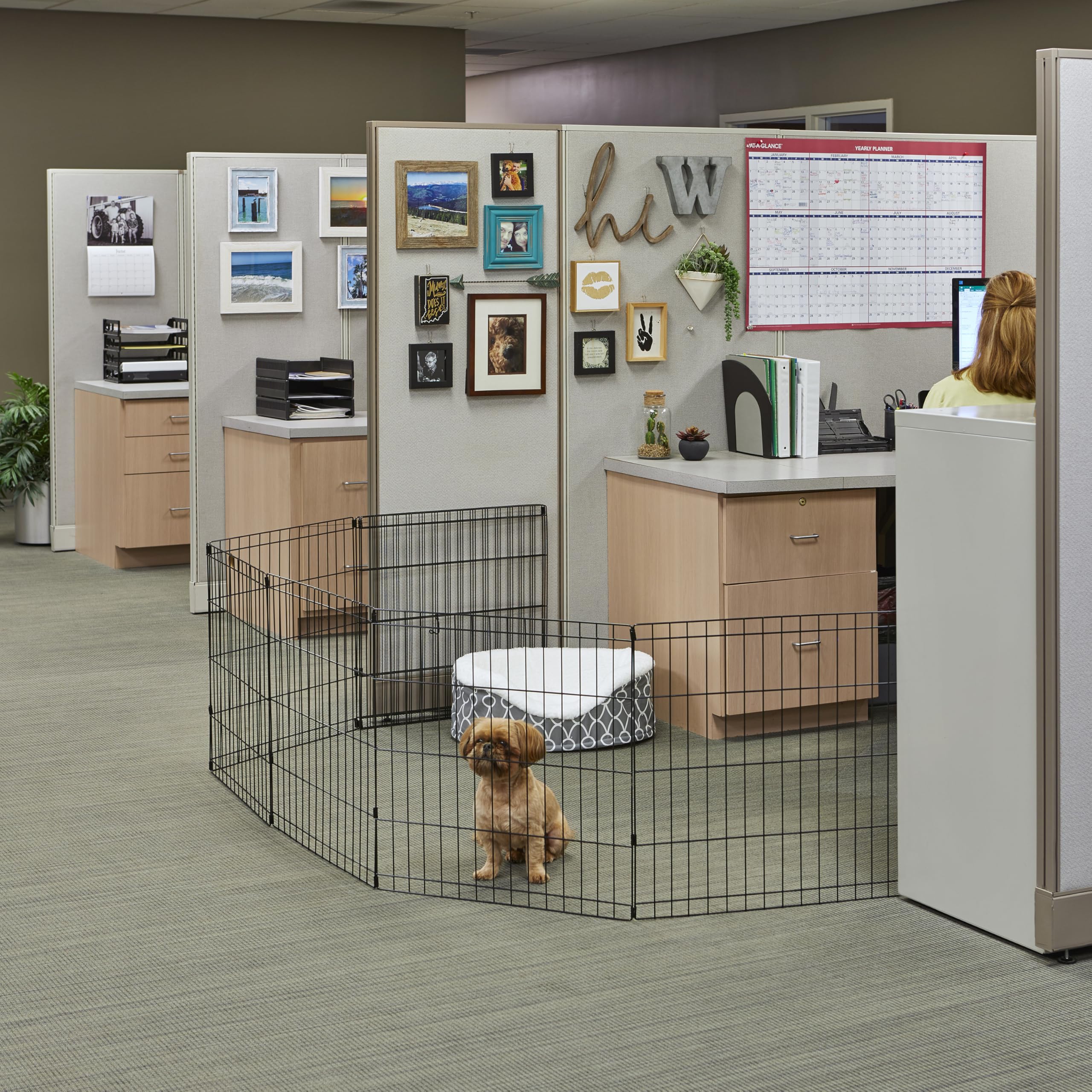 MidWest Homes for Pets pen folded flat for compact storage and transport