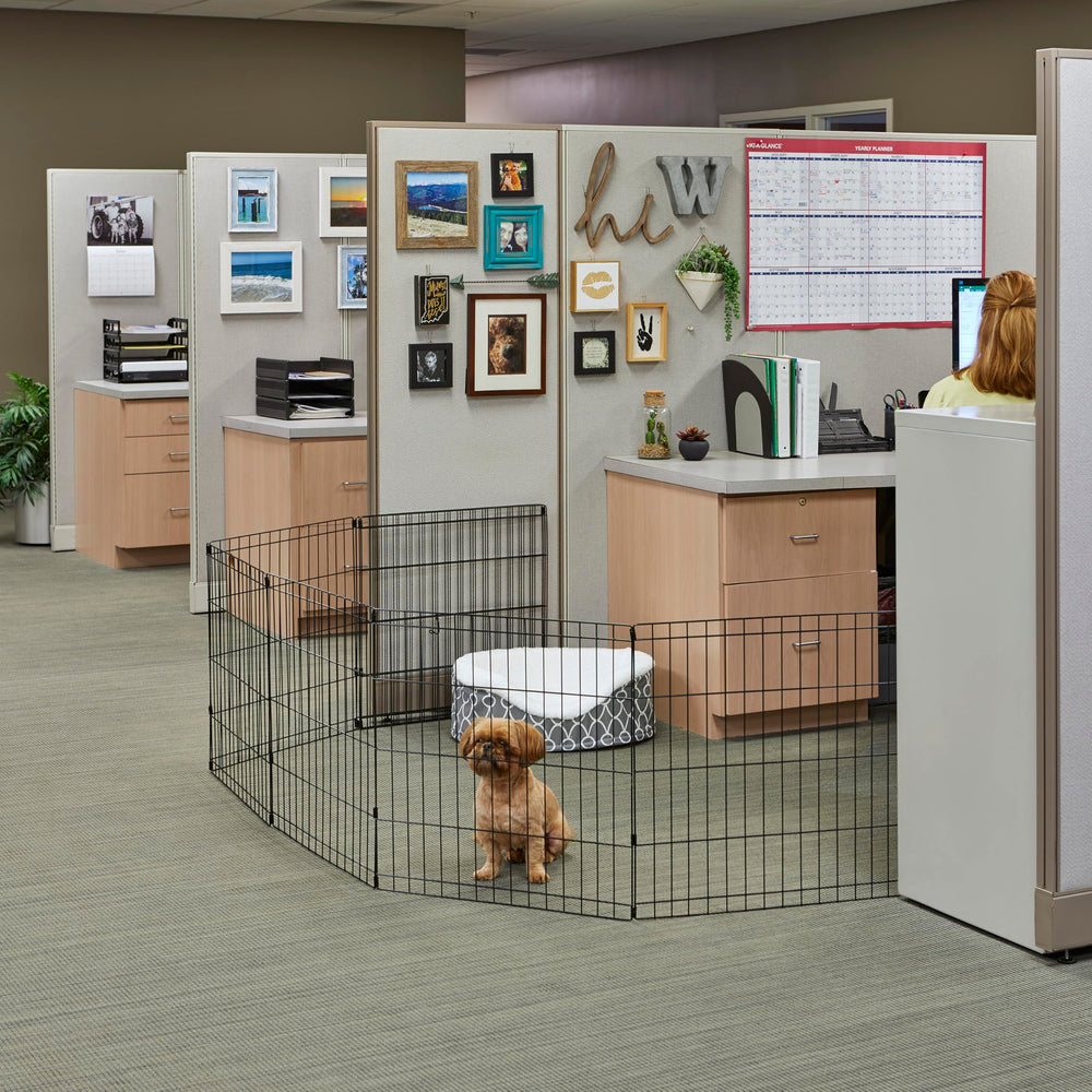 MidWest Homes for Pets pen folded flat for compact storage and transport