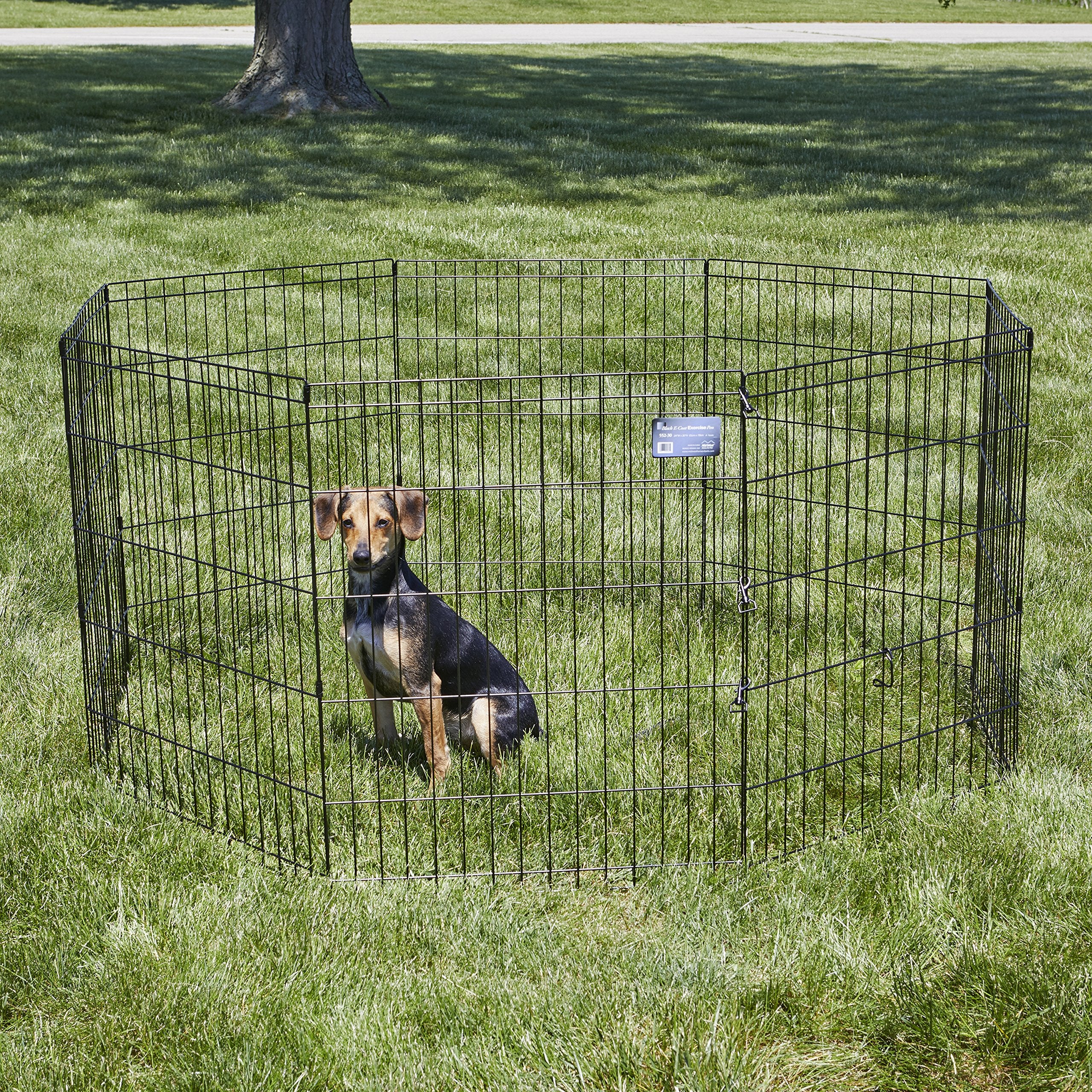 MidWest Homes for Pets pen used both indoors and outdoors for versatile play