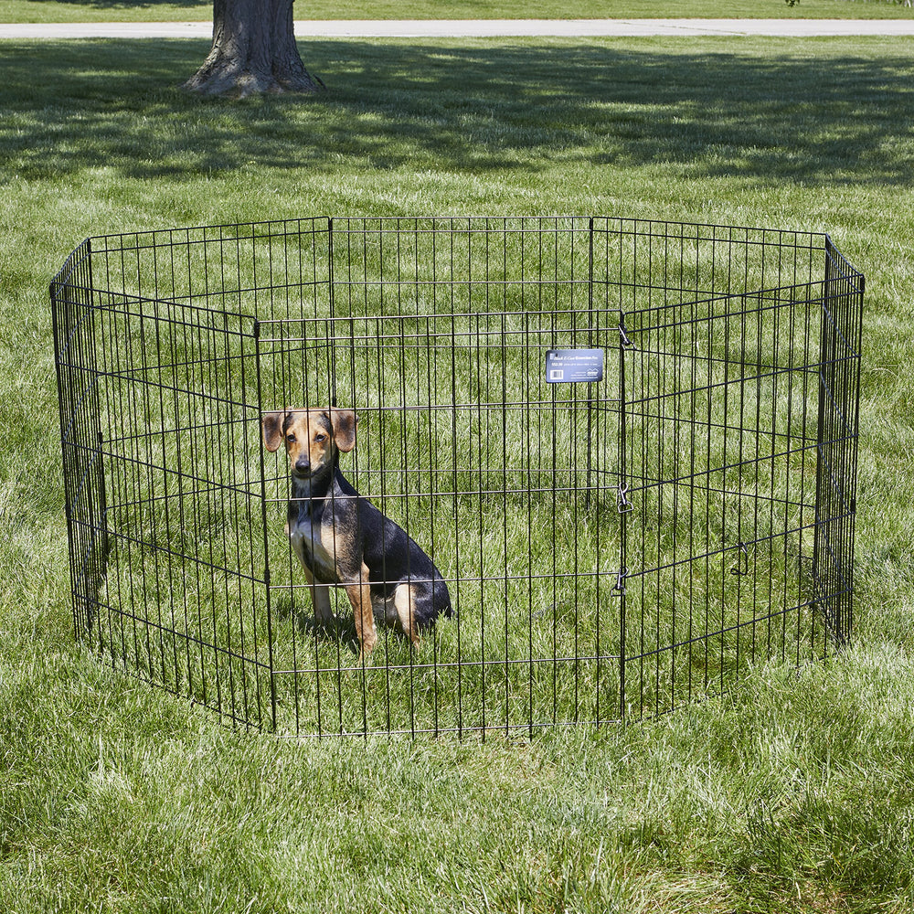 MidWest Homes for Pets pen used both indoors and outdoors for versatile play