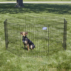 MidWest Homes for Pets pen used both indoors and outdoors for versatile play
