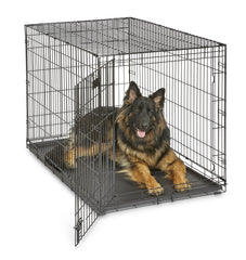 MidWest iCrate 48-inch assembly shows sturdy metal wire and black e-coat finish for durability.
