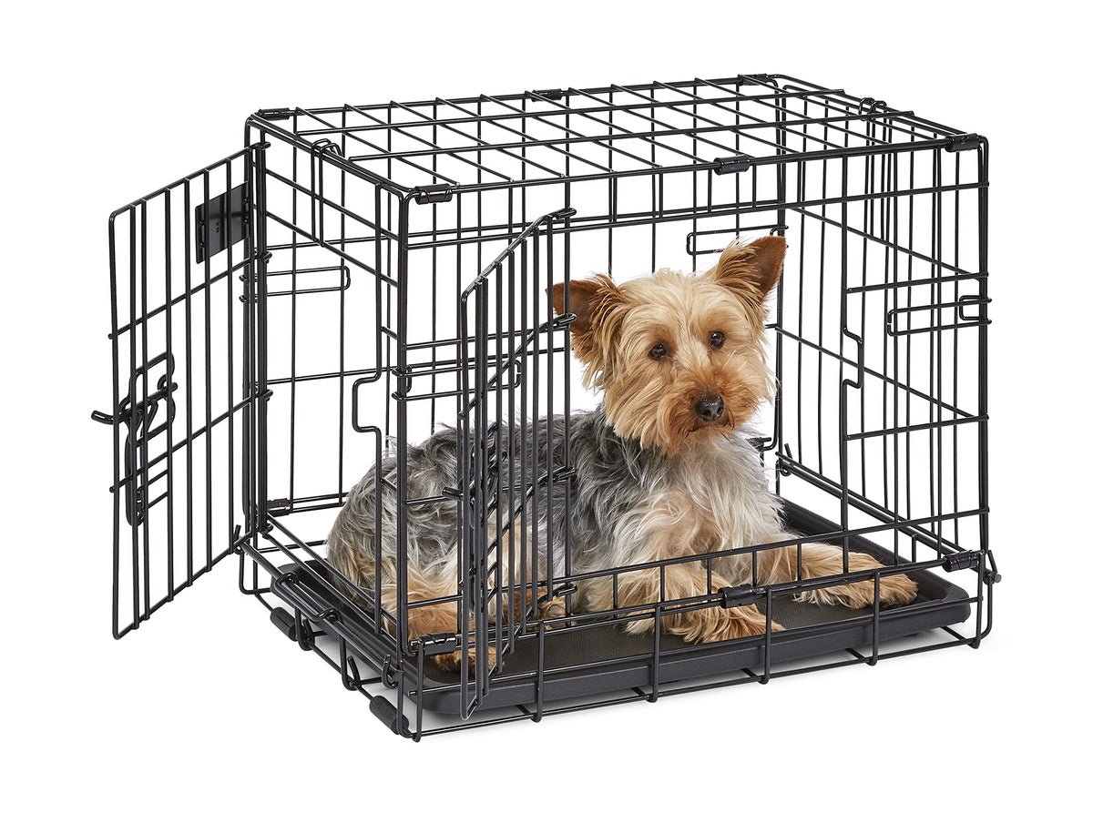 MidWest iCrate front door open showing easy entry for tiny dogs