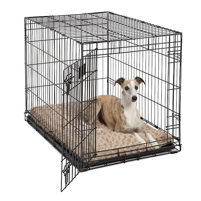 Neutral mocha ombré swirl blends with home decor and pets.