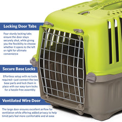 Spree carrier green with ventilated sides for fresh air during travel.