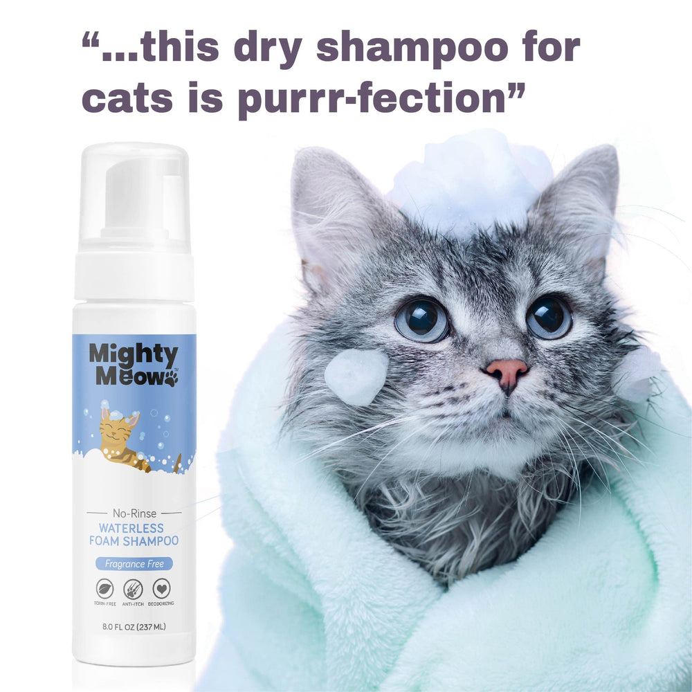 Mighty Meow foam shampoo massaged into a cat coat for deep clean.