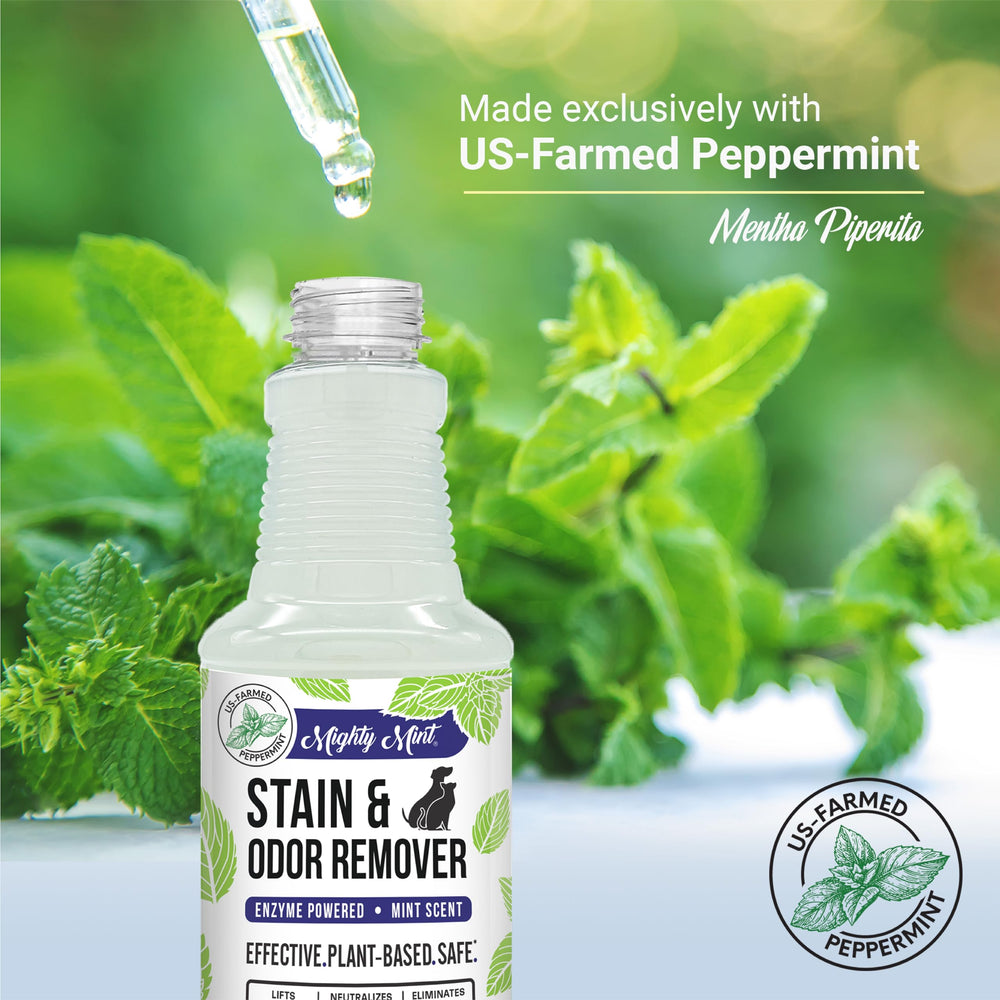 Mighty Mint Made in USA peppermint oil adds natural fragrance