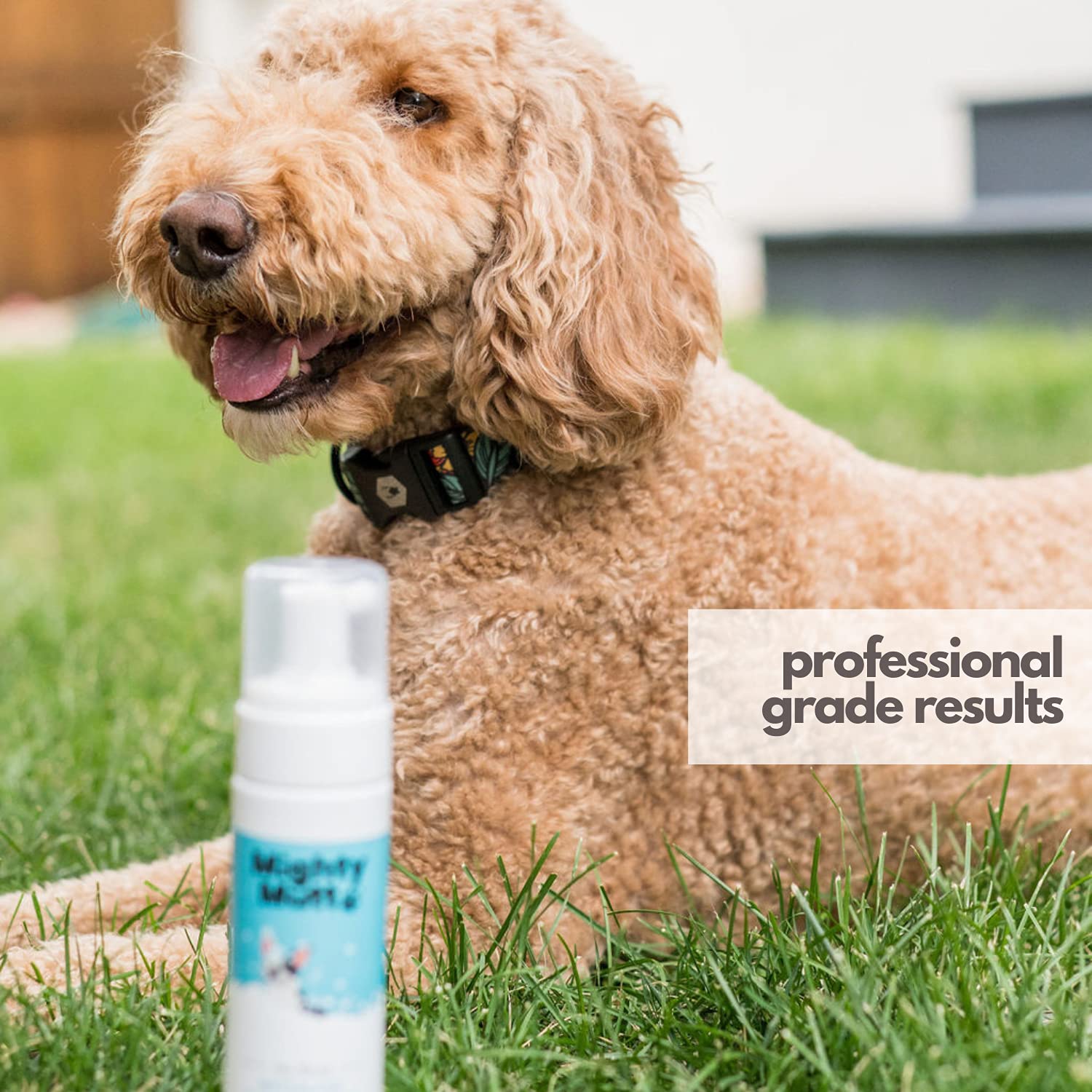 Mighty Mutt hypoallergenic ingredients natural formula for sensitive dogs.