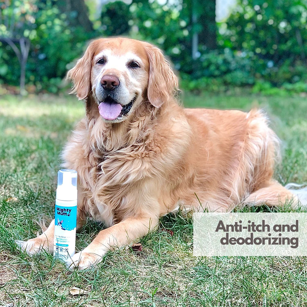 Mighty Mutt Spring Meadow fragrance revitalizes coats without water.