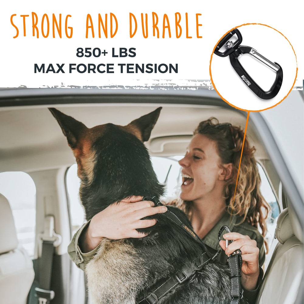 Mighty Paw adjustable-length strap fits small to large dogs securely.