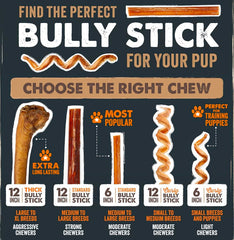 Mighty Paw all-natural beef chew highlighted as a single-ingredient treat
