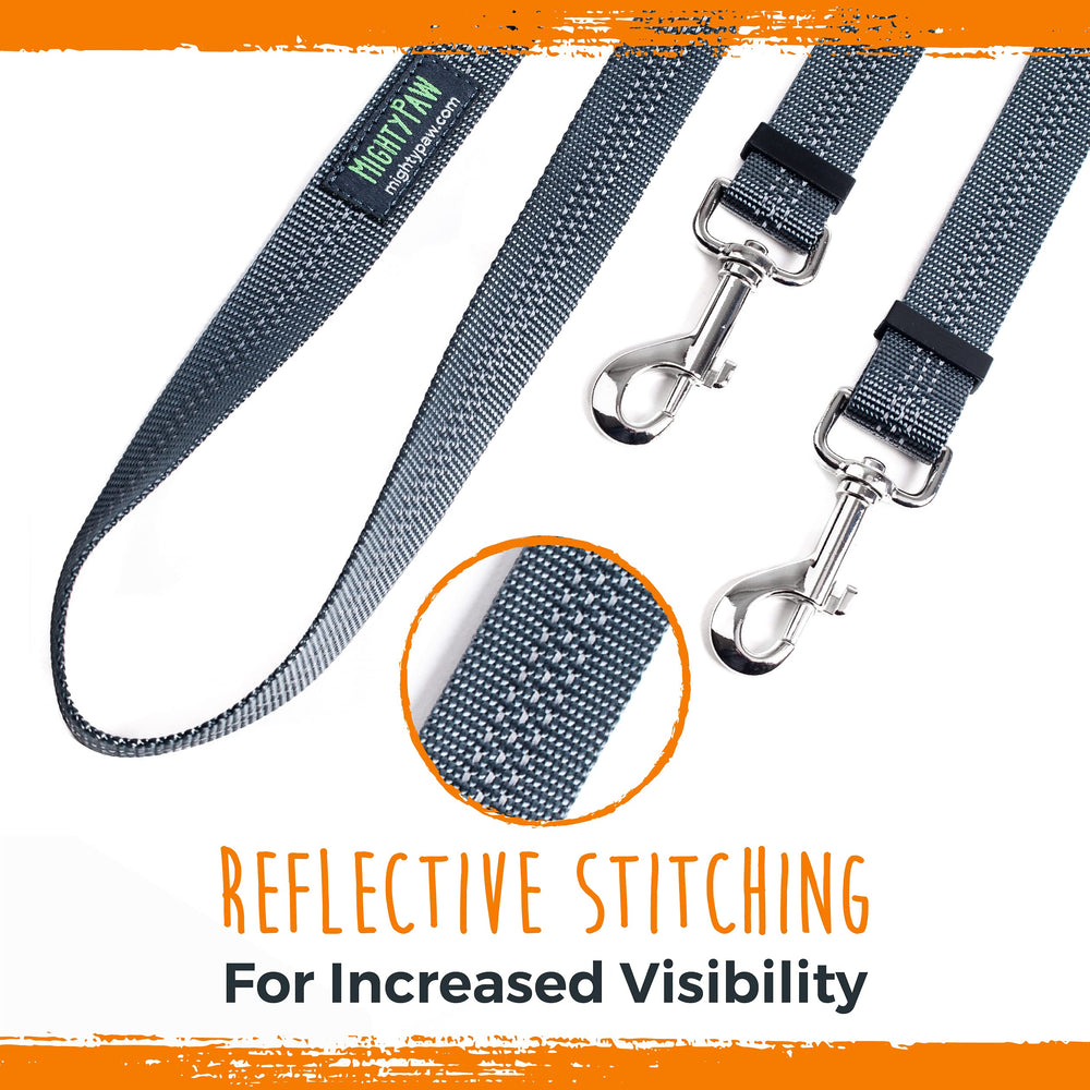 Mighty Paw attach to regular leash option for easy two-dog setup.